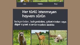 Fotoğraf düzenleme ve çeviri 