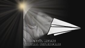 Seslendirme