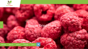 Fresh Apple Seo ve Web Tasarım