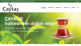 Kurumsal Web Site