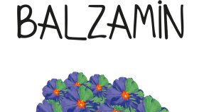 Kitap Kapağı Tasarımı