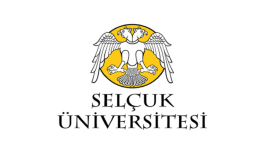 Selçuk Üniversitesi Tez Düzenleme