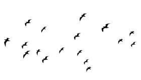 KONSEPT