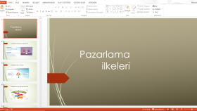 bireysel ve ya kurumsal ve akademik istediğiniz gibi yaparım