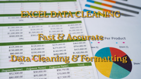 profesyonel Excel tablo ve raporları hazırlarım