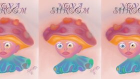 NOVA SHROOM :A CHARACTER DESIGN