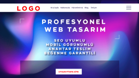 uygun fiyata internet sitenizi yaparım