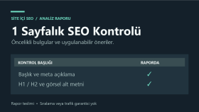 web sitenizin bir sayfasına temel SEO raporu hazırlarım