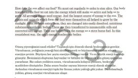 Türkçe-İngilizce çeviri yaparım