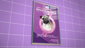POSTER ve KAPAK ÇALIŞMALARIM
