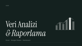 Excel ve Google Sheets ile veri analizi ve rapor hazırlarım