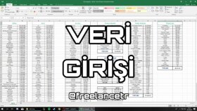 Veri Girişi
