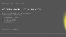 modern ve mobil uyumlu web sitesi tasarlıyorum
