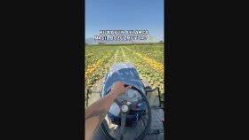 Balkan Tarım İçin Reklam Çalışması