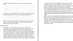 Interactive Case Studies in Health Communication