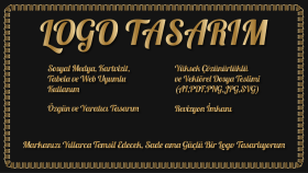 firmanız ya da sizin için uygun logo hazırlıyorum
