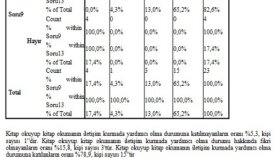 Yorumlama Örneği
