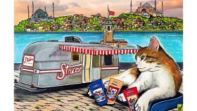 illustrasyon ve tasarım çalışmaları yaparım