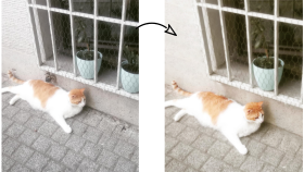 fotoğraflarınızı istediğiniz gibi düzenleyebilirim