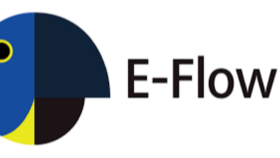 E-Flow Süreç tasarımında size destek verebilirim
