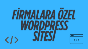 firmalara özel profesyonel wordpress siteleri yaparım