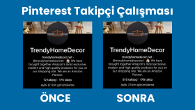 Pinterest Takipçi Çalışmaları