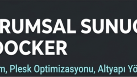 Linux sunucu kurulumu Docker ve Plesk optimizasyonu yaparım