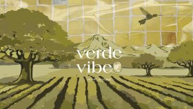 Verdavibe - Organic Skincare Brand - Logo Design