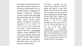 İş örneğim