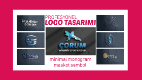 sizin için profesyonel logo tasarlayabilirim