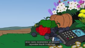 Arılar Neden Vızzıldıyor?