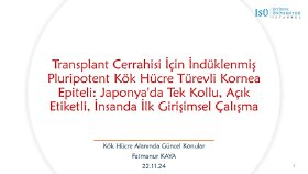  akademik metinlerinizin hazırlanmasına destek olurum