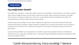 SEO Uyumlu Blog İçerikleri