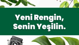 Minimalist Tasarım