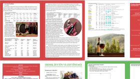 istediğiniz şekilde katalog broşür tasarlarımı yaparım