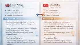 İngilizce ↔ Türkçe CV ve Profesyonel Belge Çeviri Örneği