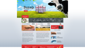 profesyonel web arayüz tasarımı yapabilirim.