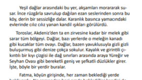 İş örneğim