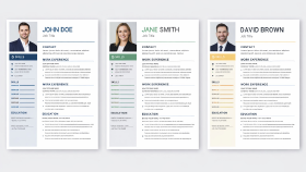 Profesyonel ve Etkileyici CV Hazırlıyorum