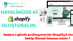 Shopify mağaza kurulumunu yapabilirim