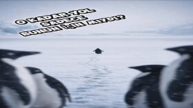 Yapay Zeka Teknolojisi ile Viral Odaklı Yeni Nesil Videolar