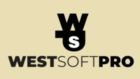WSP - Yazılım Şirketi Konsepti