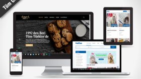 wordpress web sitesi yapabilirim