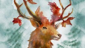 size farklı alan ve tarzlarda illüstrasyon yapabilirim