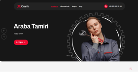 admin panelli profesyonel tamirci web sitesi yapabilirim