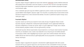 makale yazıyorum