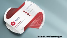 Prolink İnsan Kaynakları