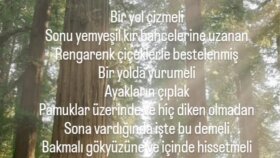 hayallerini yazıya dök