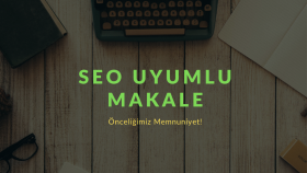 istenilen konuda etkileyici makale yazabilirim
