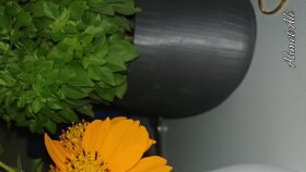 proje ve 3Dtasarımlarınızı düzenli olarak yapabilirim